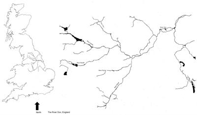 The Impacts of Recolonisation of an Urbanised River by Native and Non-native Species